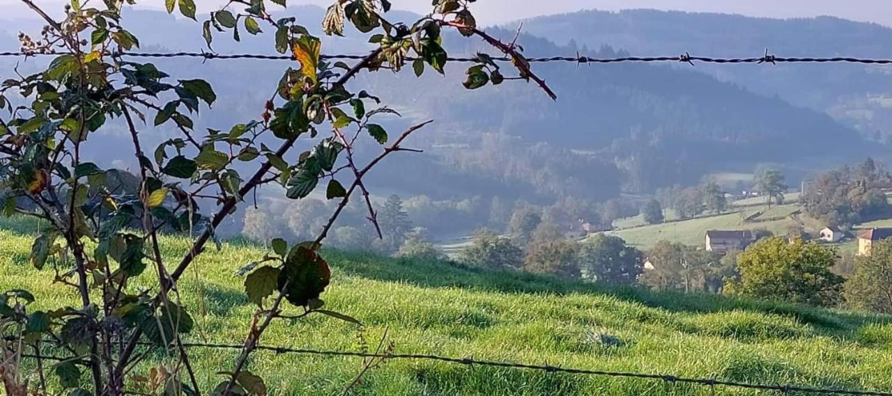 La Mazille , Cossy Vakantiestudio Met Zwembad In Zuid-Bourgogne Anglure-sous-Dun Εξωτερικό φωτογραφία